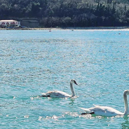 Otel Lavender - Oleander