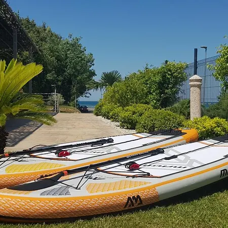 Lavender - Oleander 斯楚雅