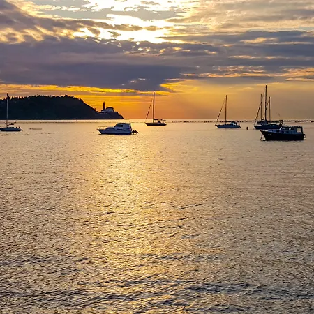 Lavender - Oleander 3*