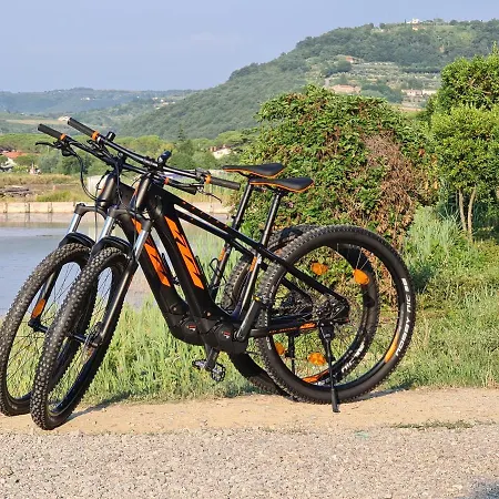 Lavender - Oleander 3* 斯楚雅