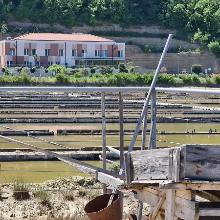 Lavender - Oleander 斯楚雅