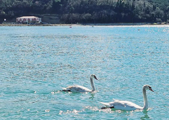 Hotel Lavender - Oleander