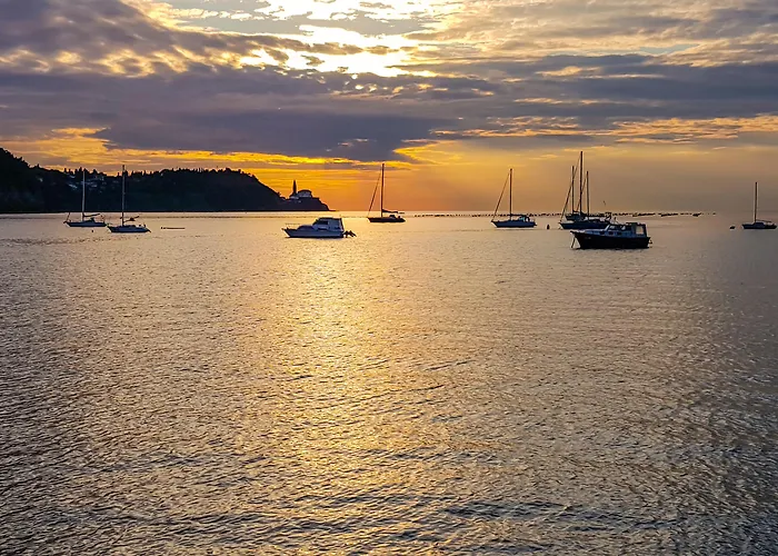 Lavender - Oleander 3*