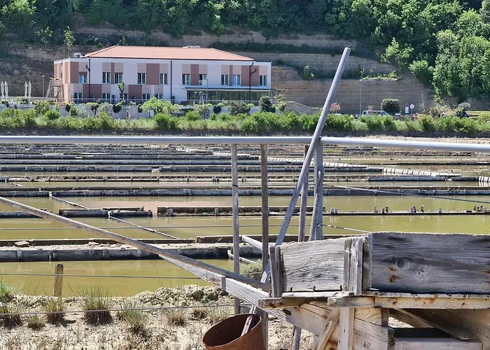 Lavender - Oleander Strunjan