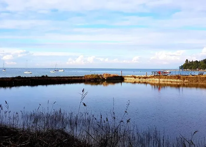 Szálloda Lavender - Oleander Strunjan